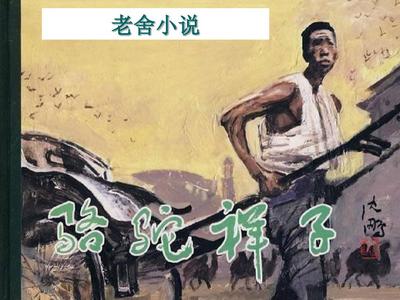 深入了解 无忧传媒免费在线观看